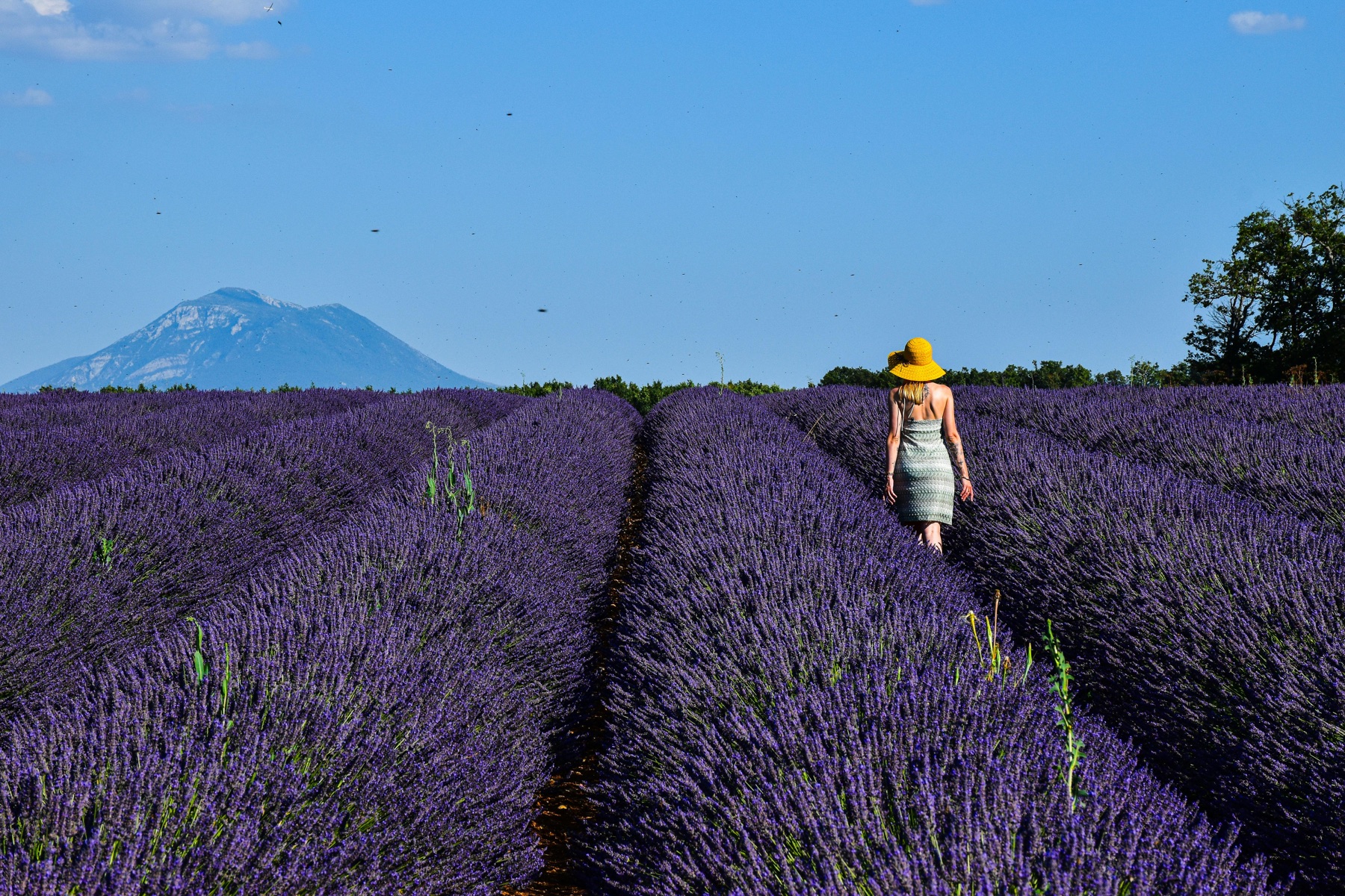 Provence
