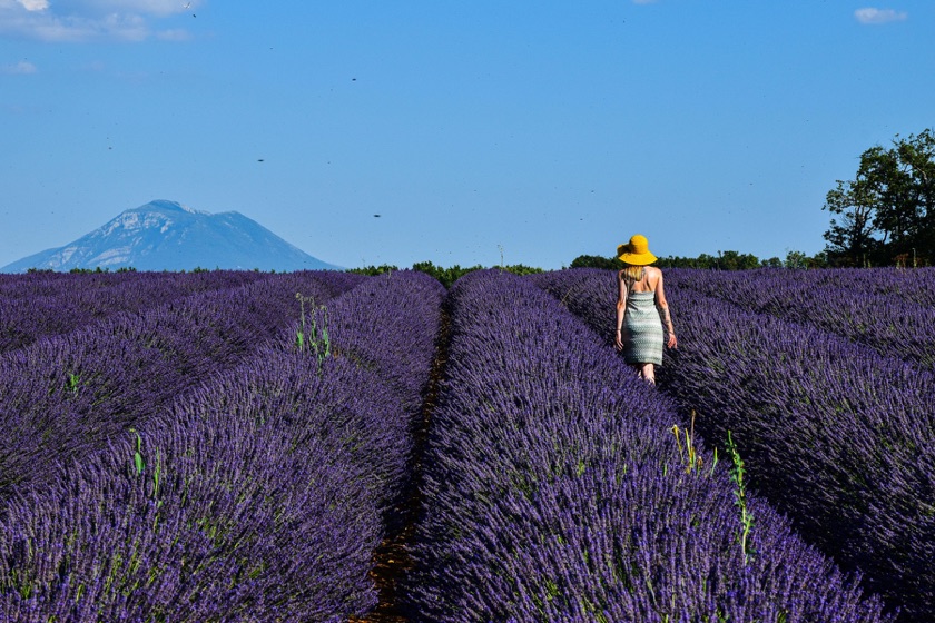 Provence